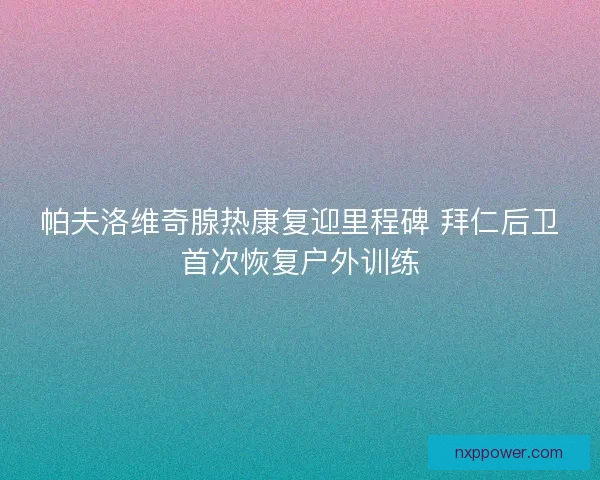 帕夫洛维奇腺热康复迎里程碑 拜仁后卫首次恢复户外训练