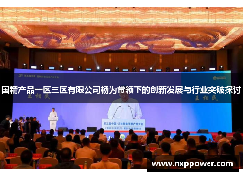 国精产品一区三区有限公司杨为带领下的创新发展与行业突破探讨